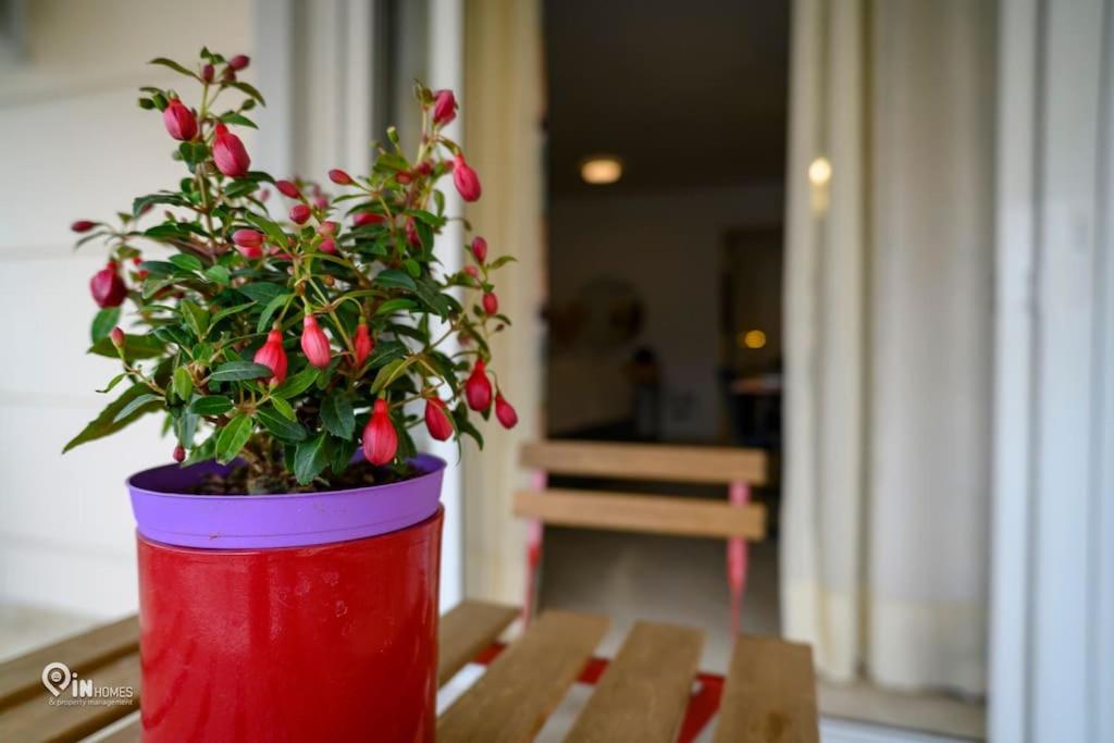 Thyme Out In Athens Apartamento Exterior foto